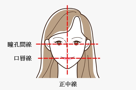 審美領域の歯のデザインに重要な指標